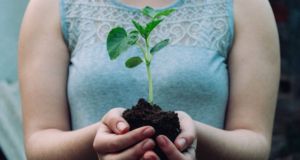 growth hacking